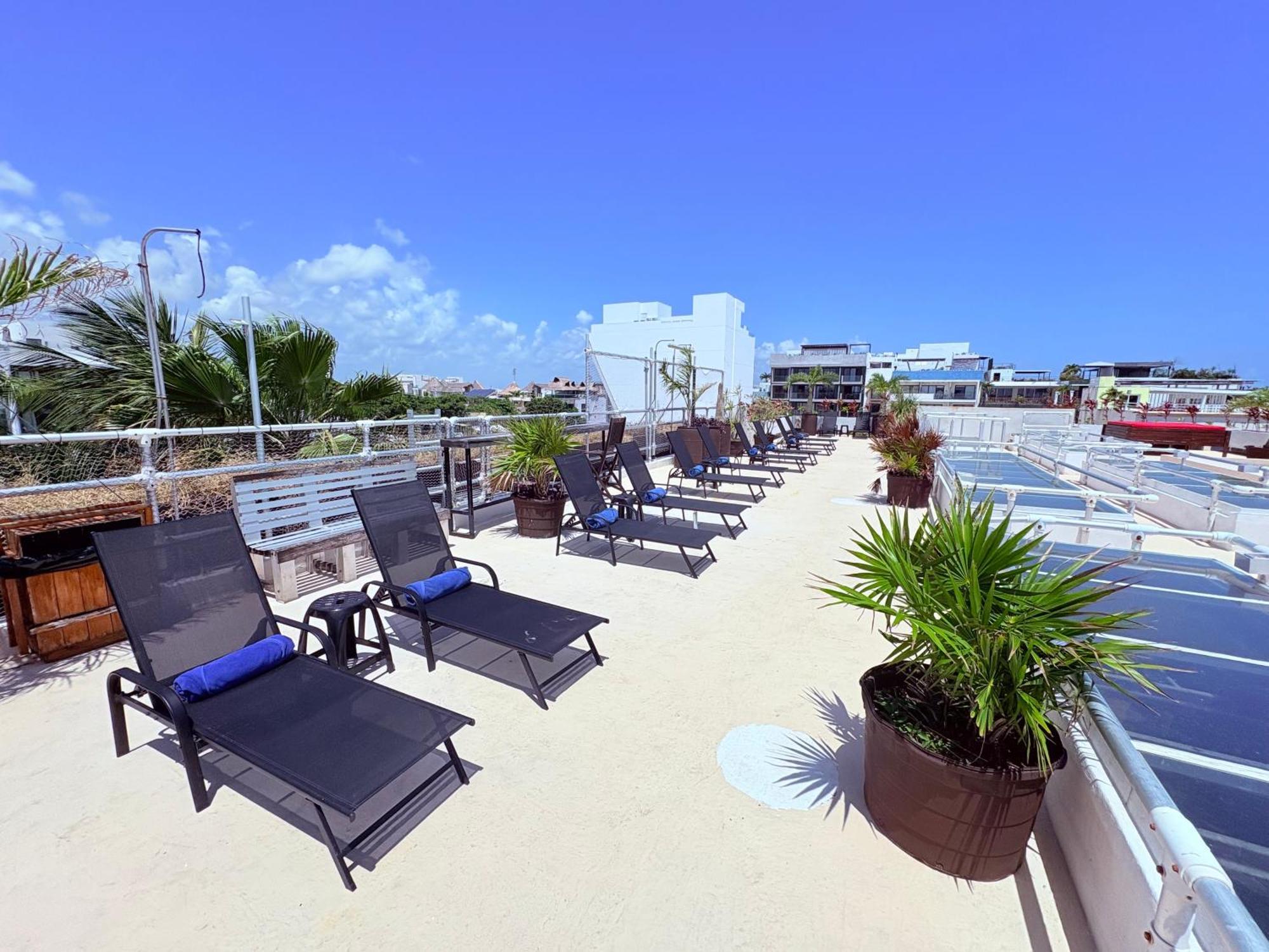 Hotel Kavia 5Th Avenida (Adults Only) Playa del Carmen Exterior photo